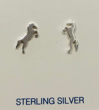 Load image into Gallery viewer, Tomas Stud Earring Collection